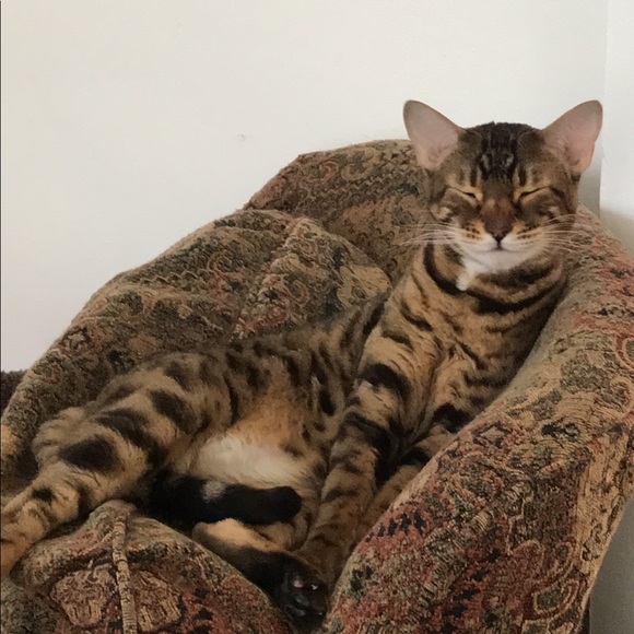 Meet your Posher, Rebecca - Picture 3 of 7